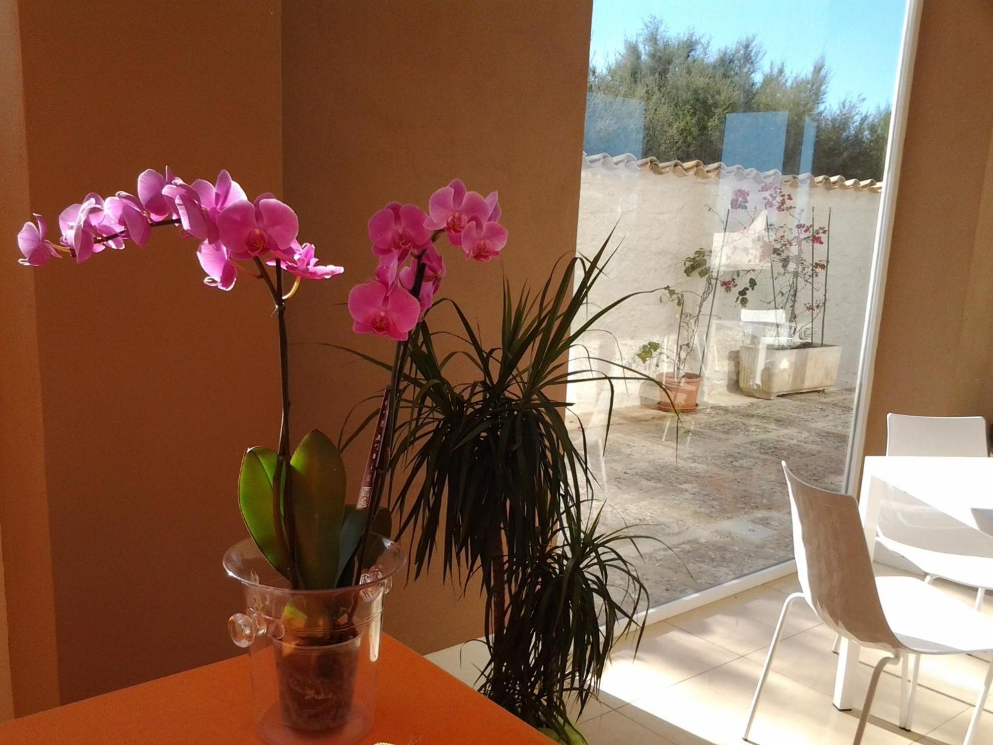 Suitebeach B&B And Resort Marsala Kültér fotó